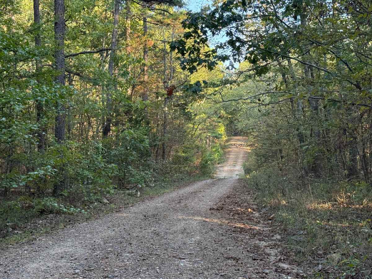 Robinson Creek photo 5
