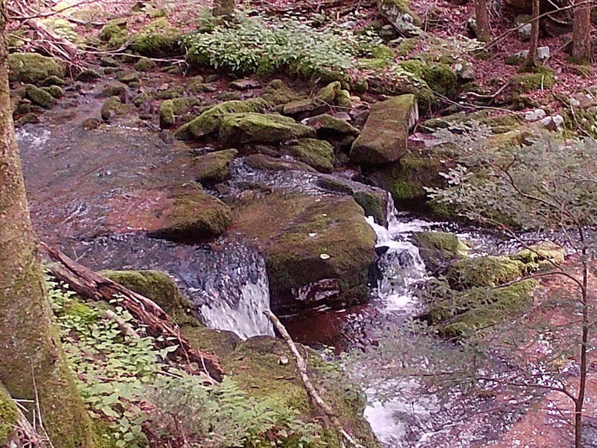 Cherry Run Road photo 6