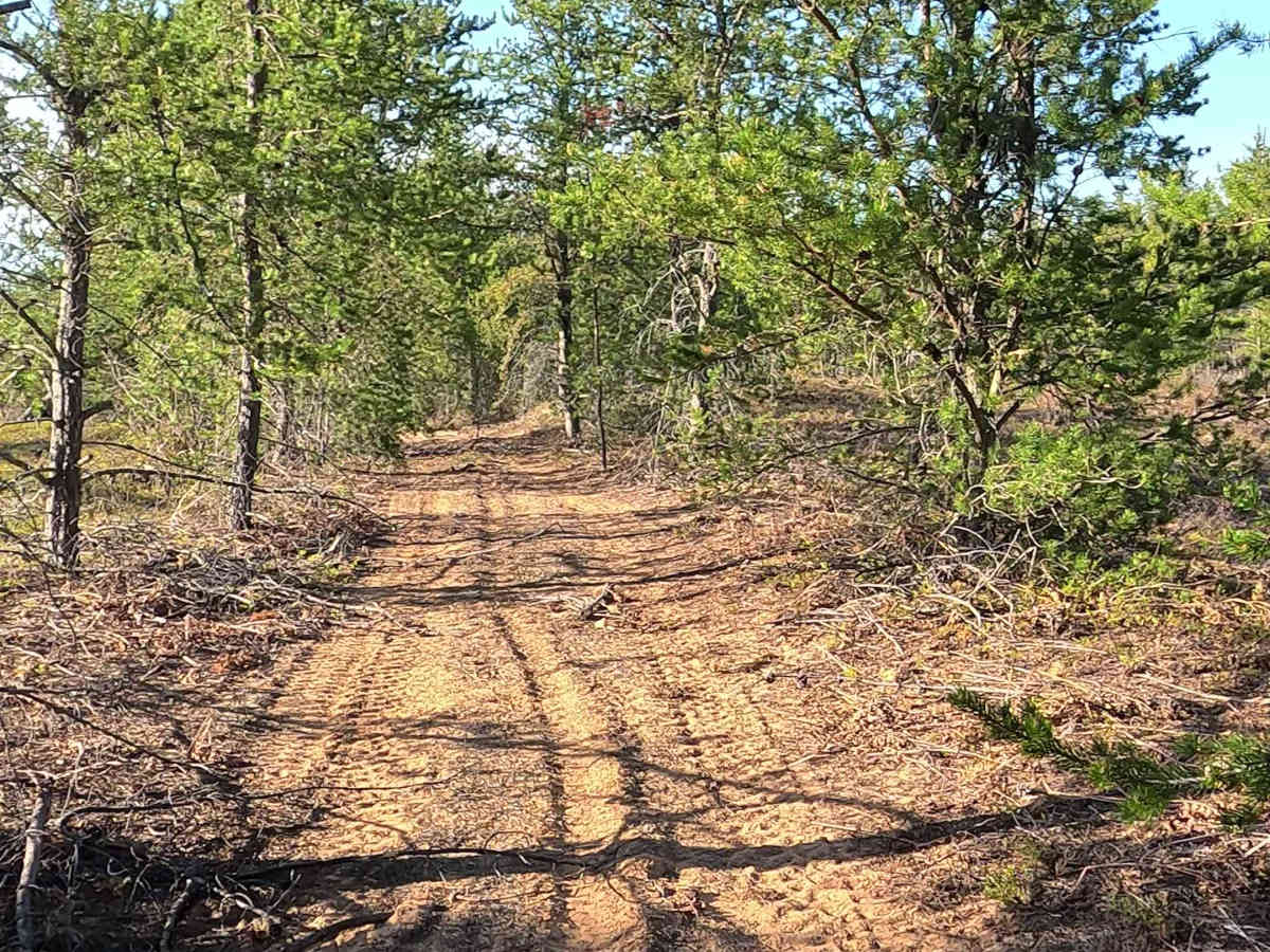North Duck Marsh Road Loop trail photo