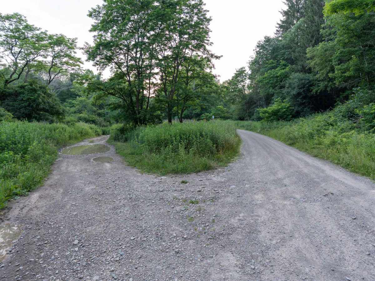 Sullivan Road photo 3
