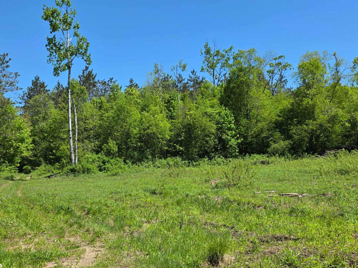 Loggers Lane photo 5
