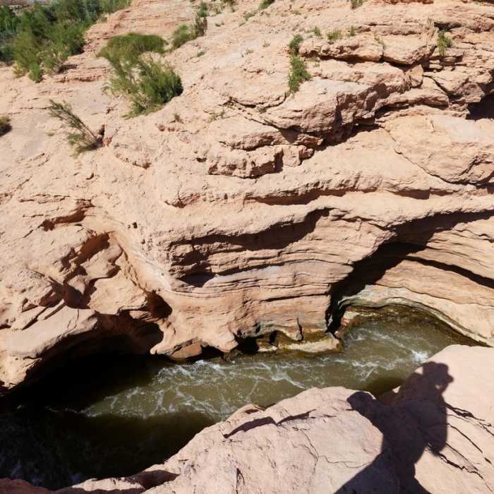 Near Shoreline & White Owl Canyon Loop