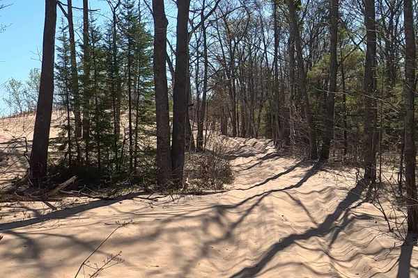 West Wildcat Road