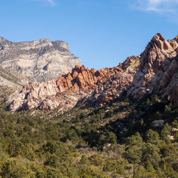 Near La Madre Spring