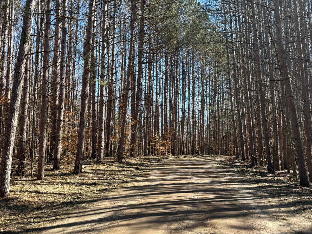 FS 5557 trail photo