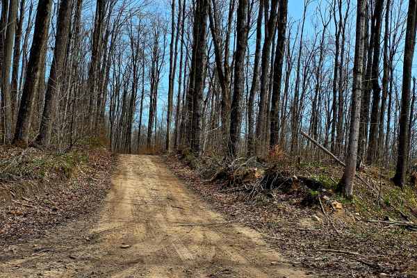 County Line Road