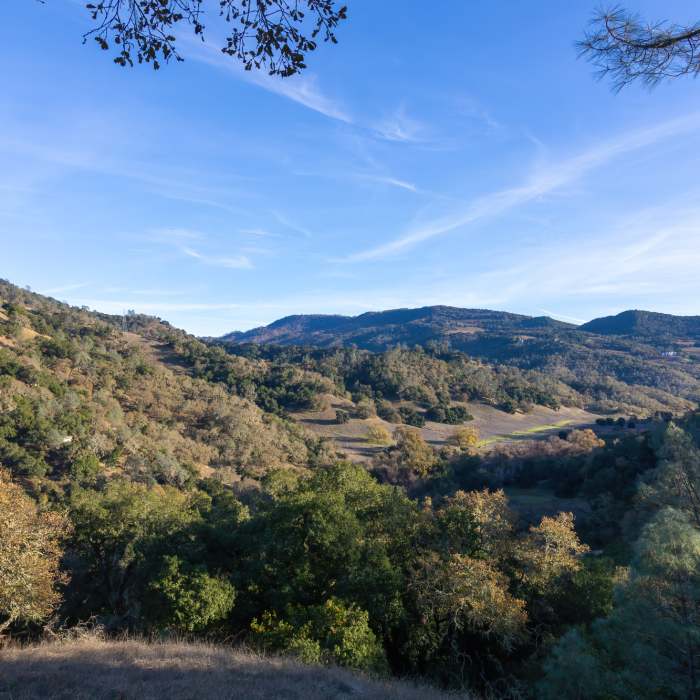 Near Whiskey Ridge Trail