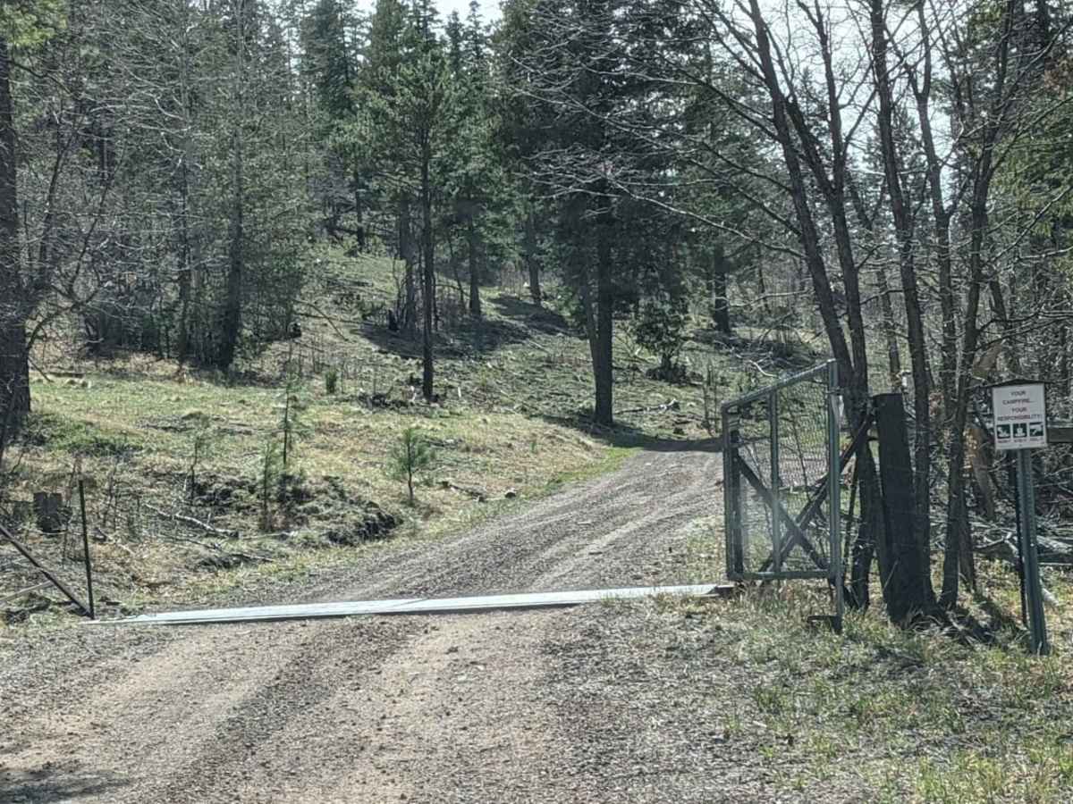 Noble Mountain photo 6