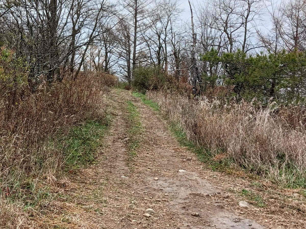 Trail 13C - Rock Run Recreation photo 2