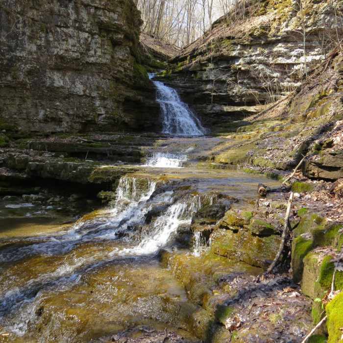 Near Red Trail
