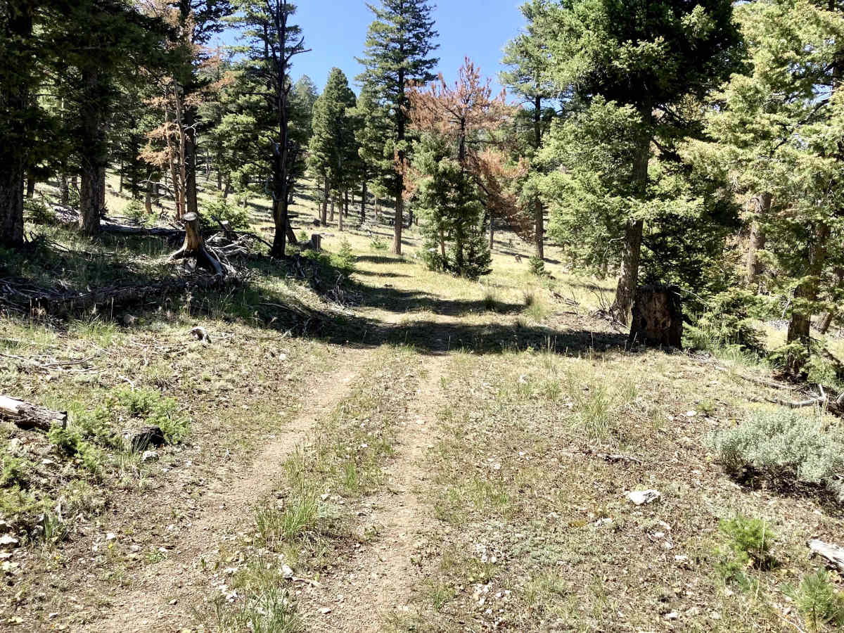 Sands Canyon ATV trail photo