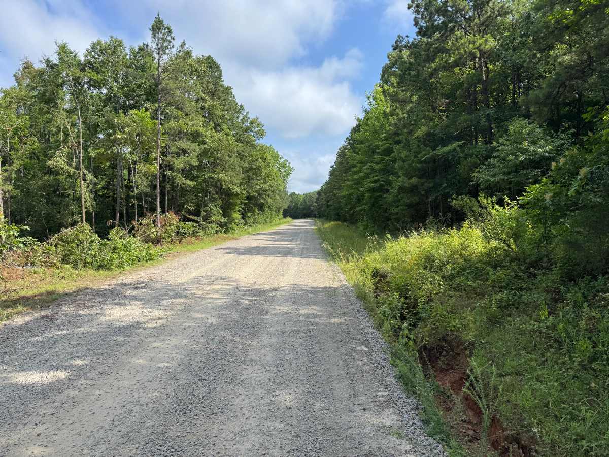County Road 3880 trail photo