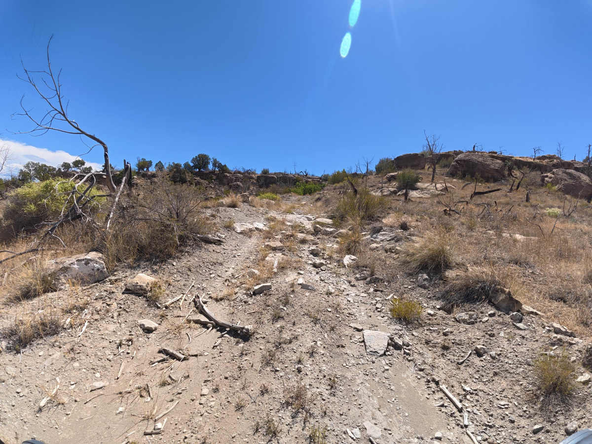 BLM 287 photo 6