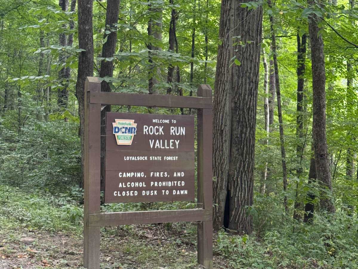 Rock Run Road photo 4