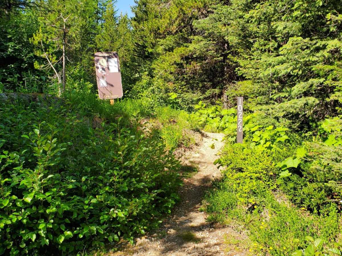 Mission Divide/Crane Mtn Road photo 4