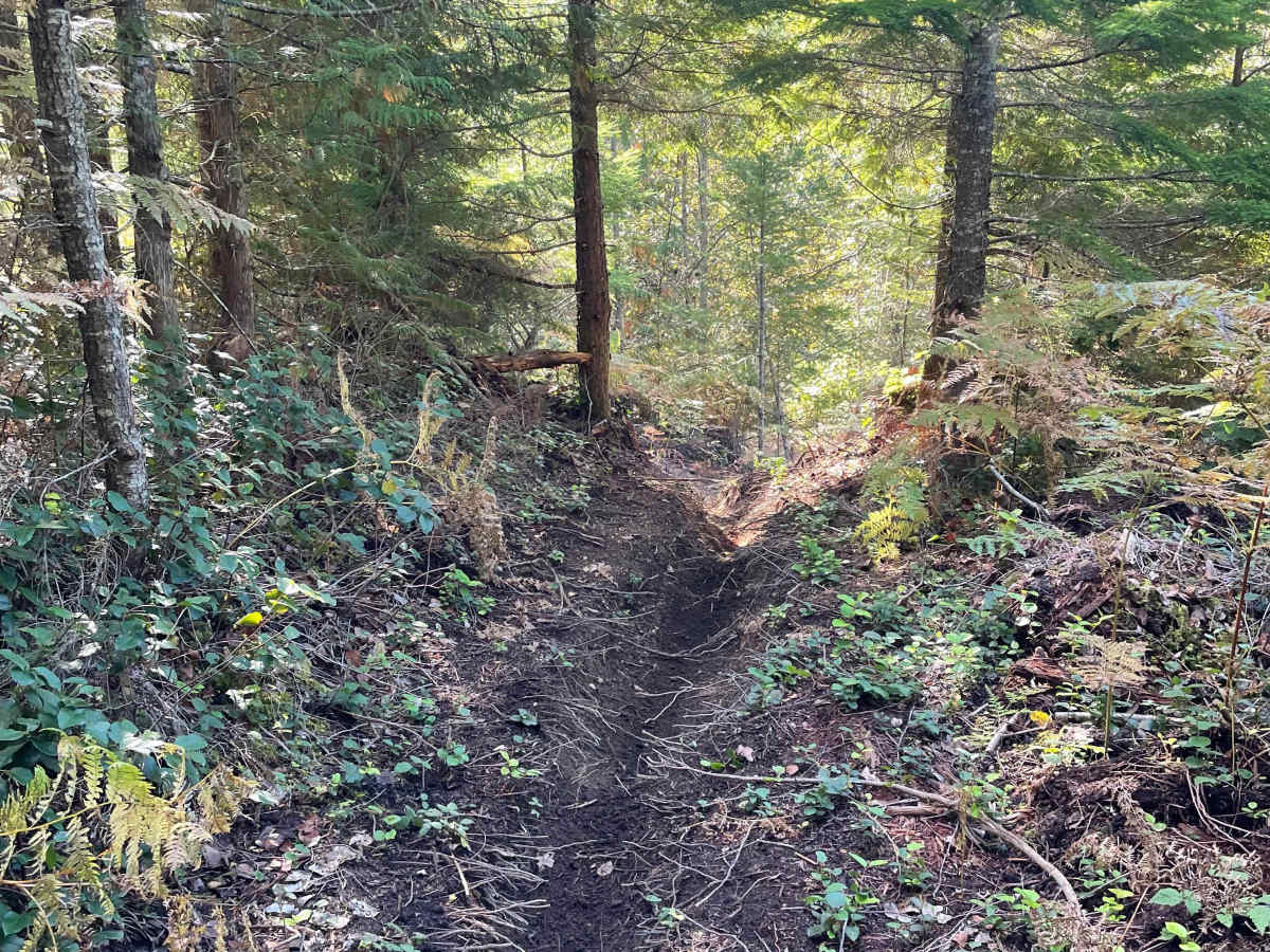 Don't Miss the Fun in the Sun trail photo