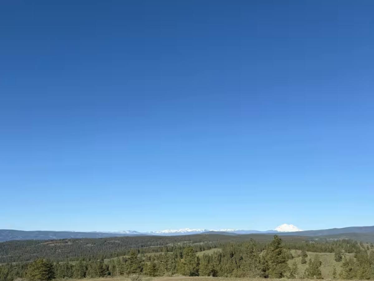 Observatory Loop photo 5
