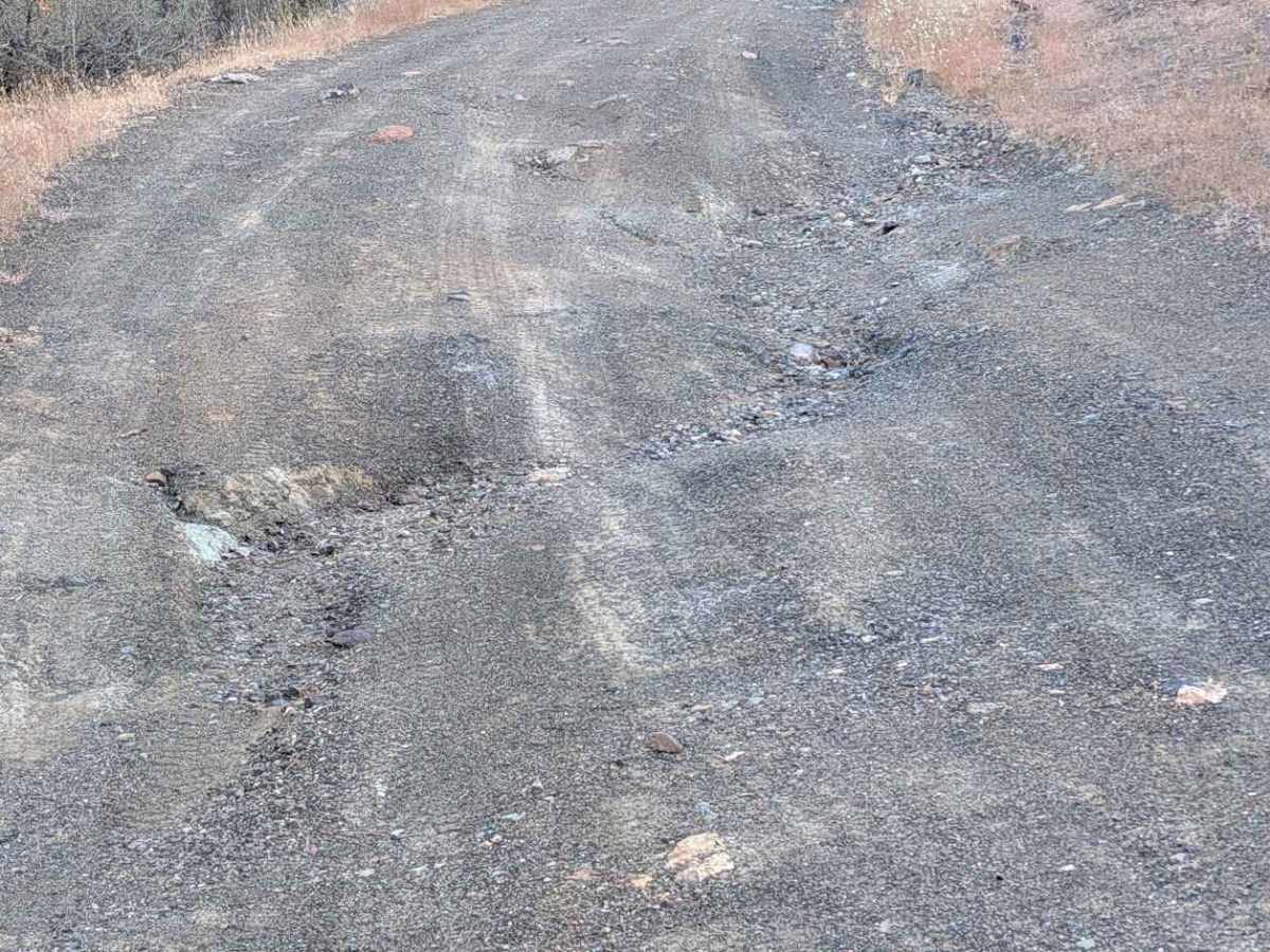Plummer Gulch Road - FS 30N36 photo 4