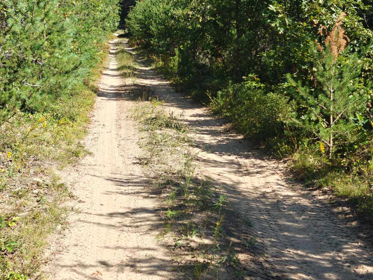 South Townline Road photo 4