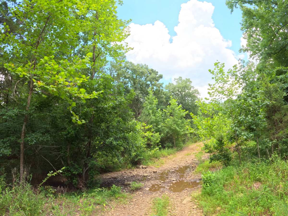 Reville trail photo