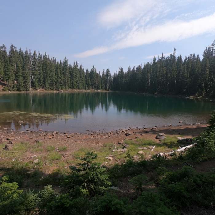 Near Shirley Lake Trail #4003.1