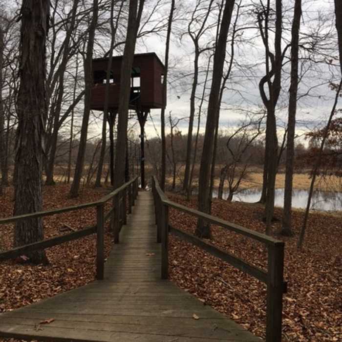 Observation tower. Near Arcadia Walking Loop (No Running Allowed)