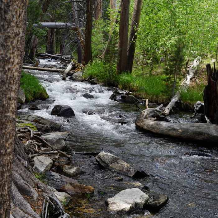 Parker creek, along the trail to Parker Lake Near Parker Lake Trail