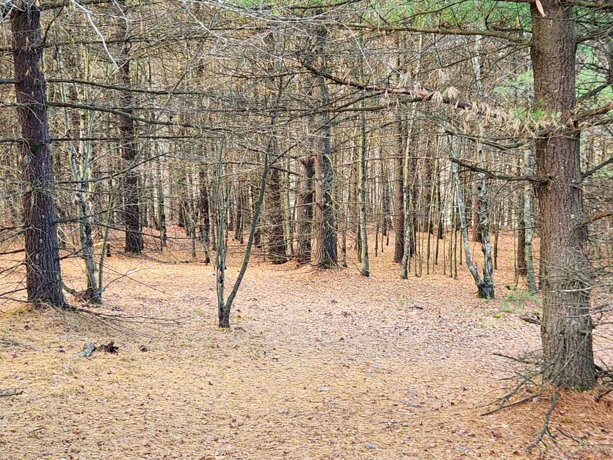 OHV 4 - Rock Run Recreation Area photo 4