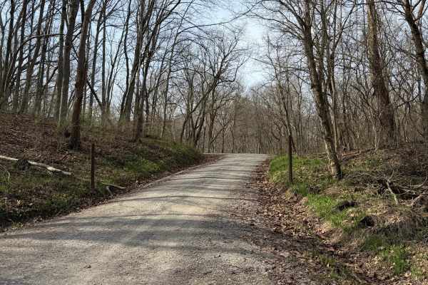 South Ridge Road