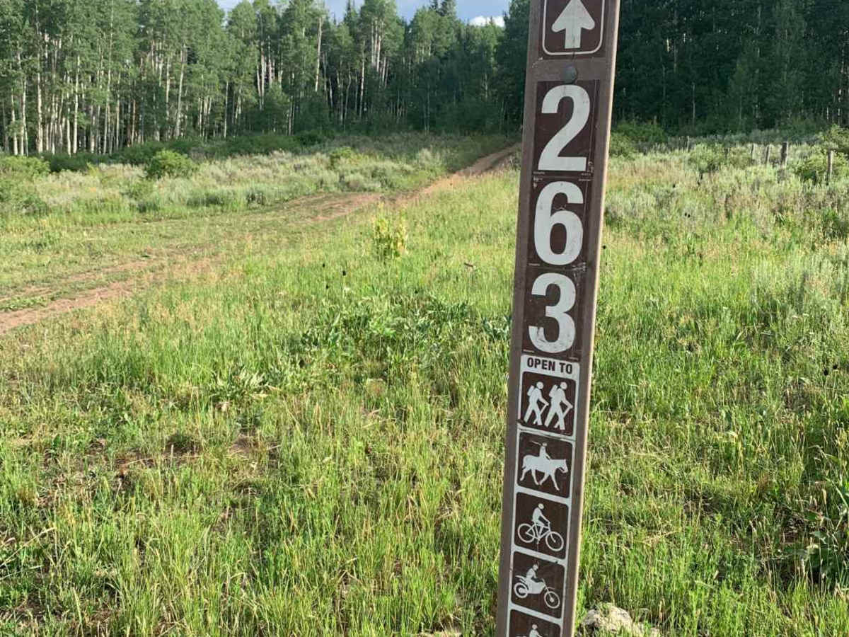 Silver Spruce to High Trail Loop photo 5