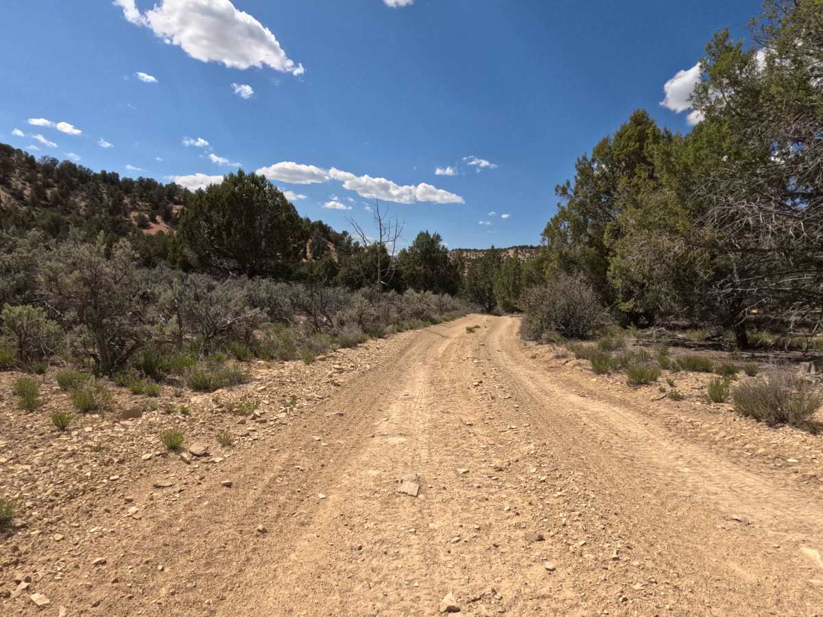 BLM 47 photo 3
