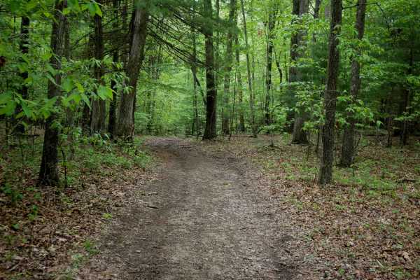 Trail 9