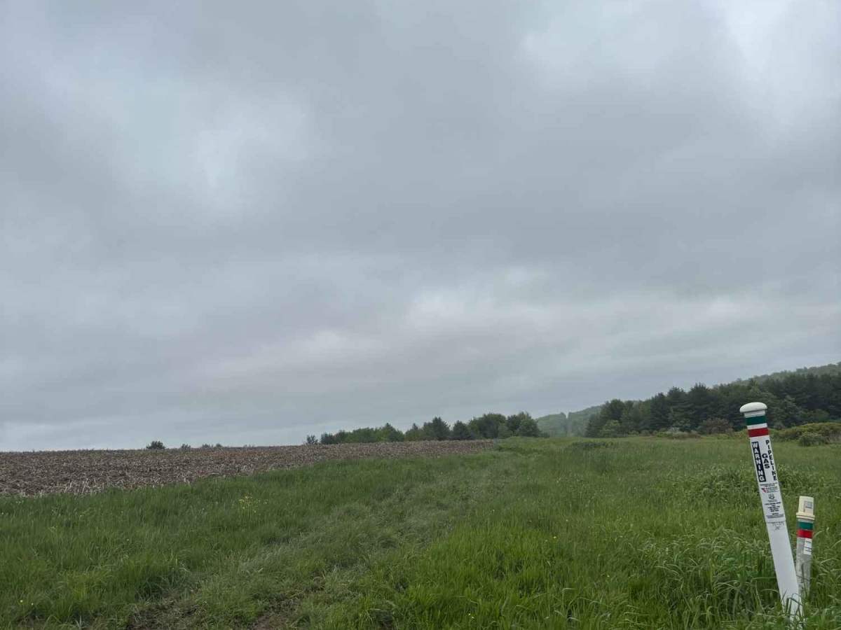 Woodbeck Road photo 3