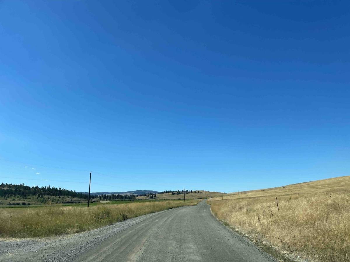 Douglas Lake Road trail photo