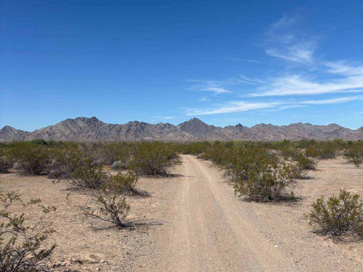 Cholla Road photo 6