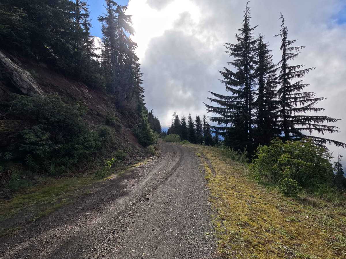 Blue Lake - FS 1230 photo 5