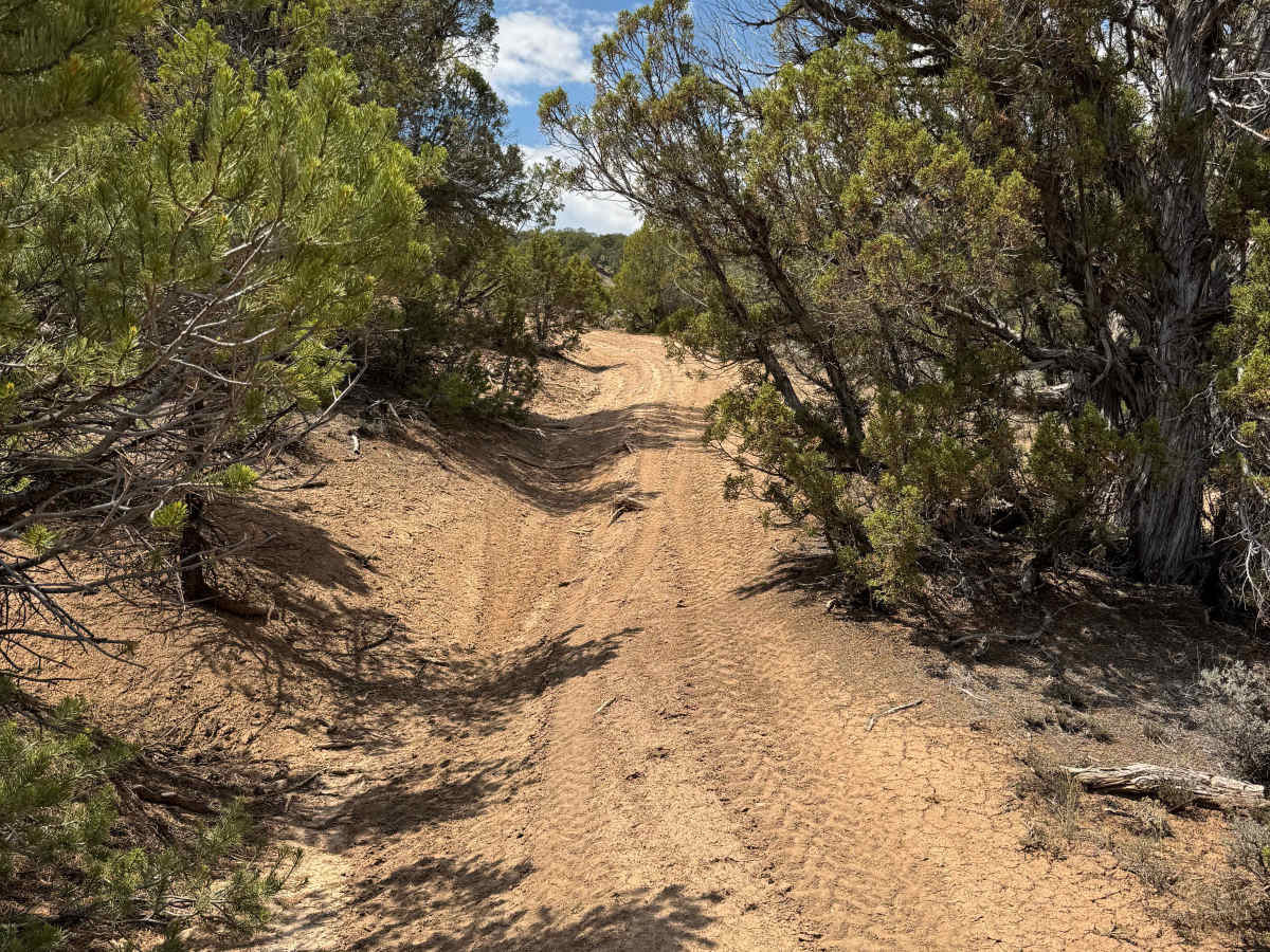 BLM 8457B photo 6