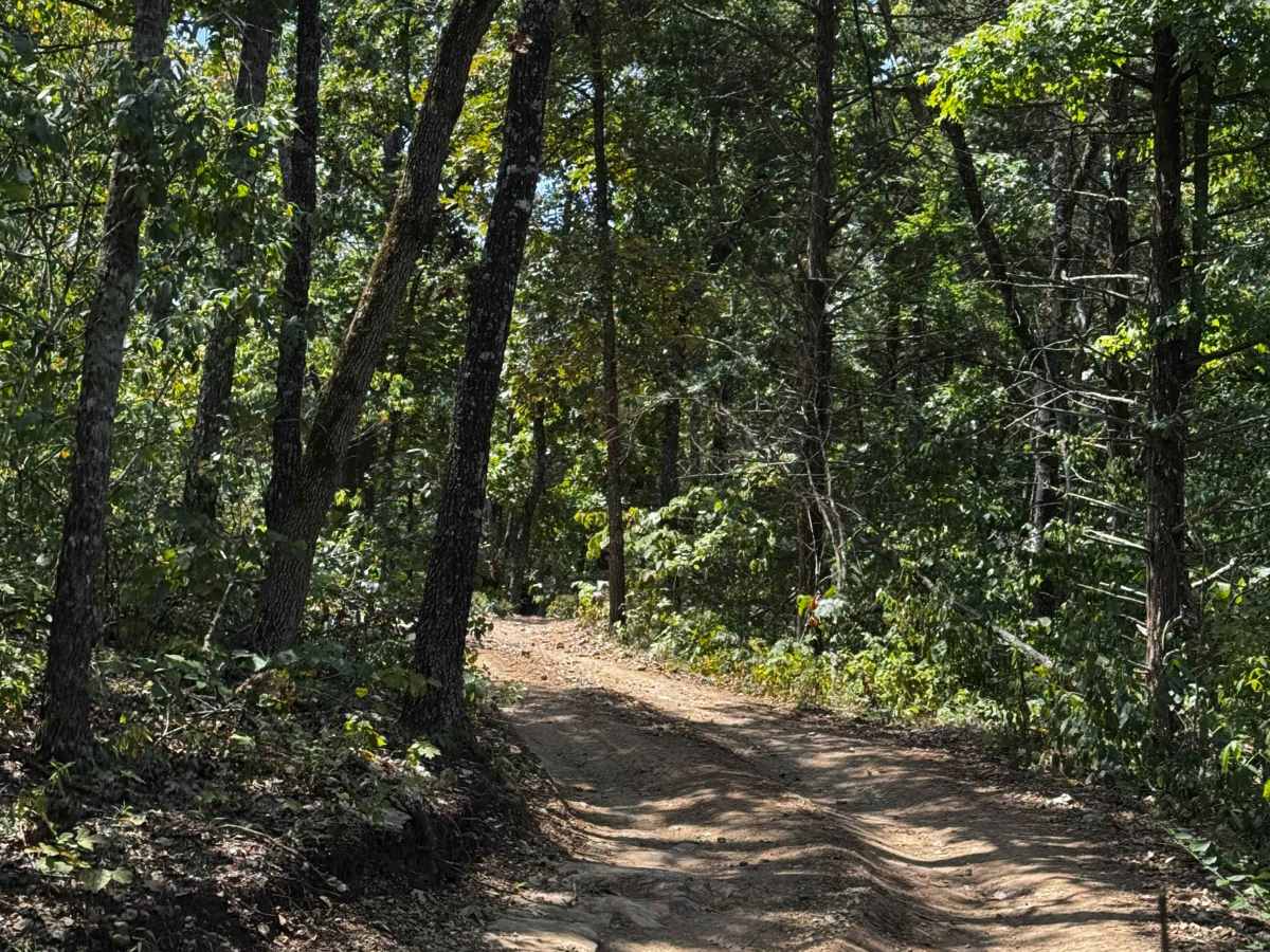 Rental Bypass trail photo