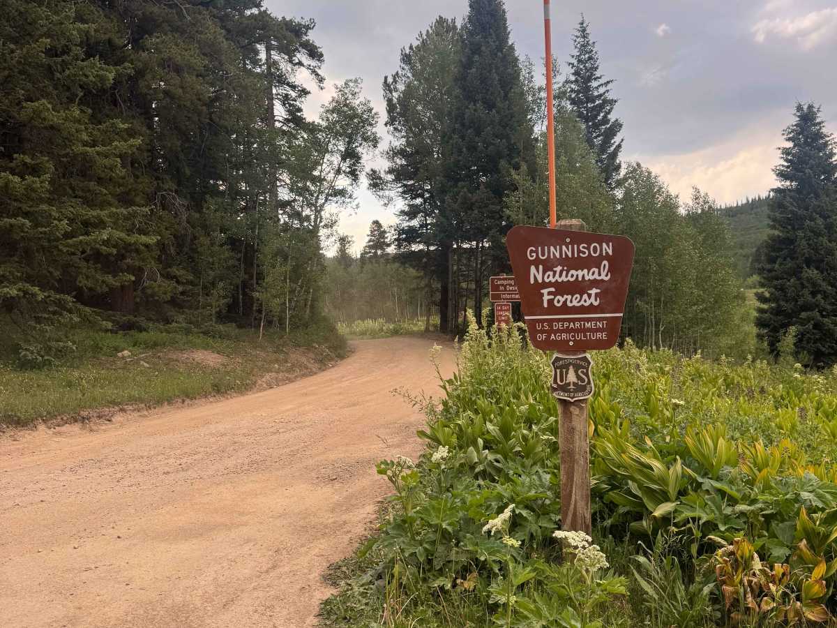 Washington Gulch Road trail photo