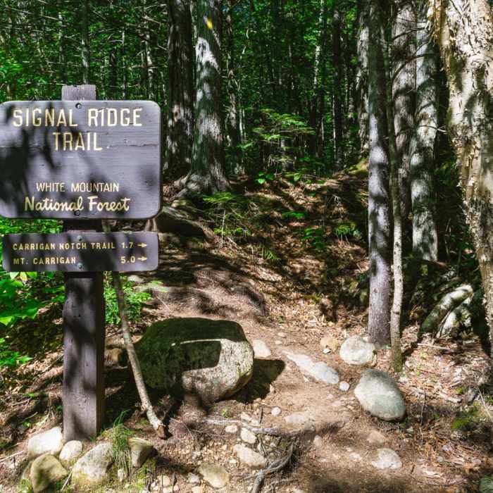 Near Mount Carrigain via Signal Ridge Near Mount Carrigain via Signal Ridge