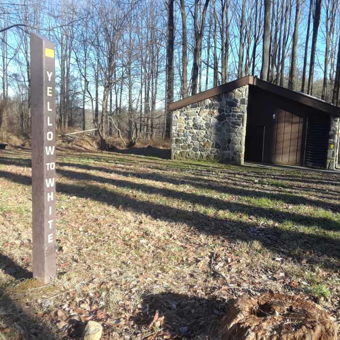 Junction Near Ridley Creek SP: Yellow-White-Yellow Loop