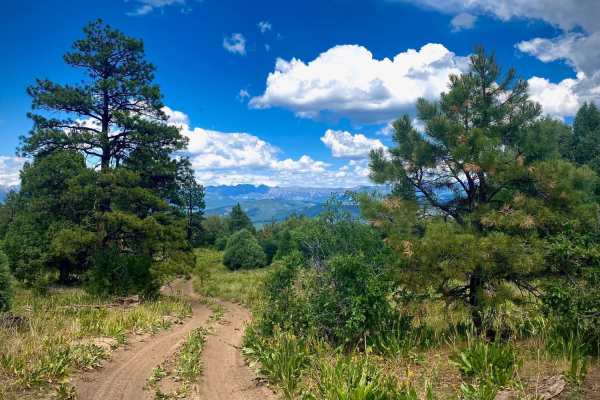 Eight Mile Mesa B-USFS Rd #651B