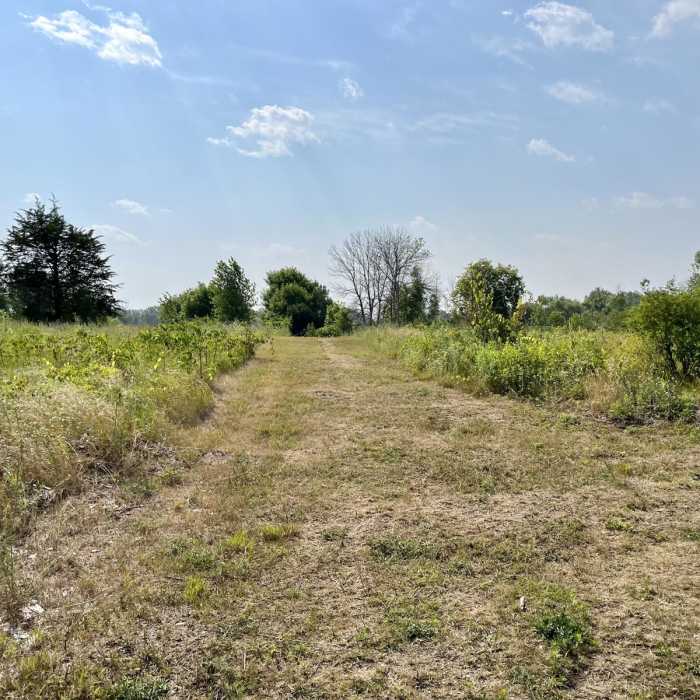 Near Bald Eagle Prairie Preserve