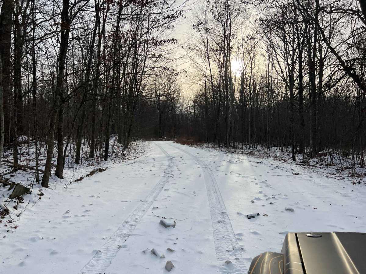 Dehaas Line Trail photo 3