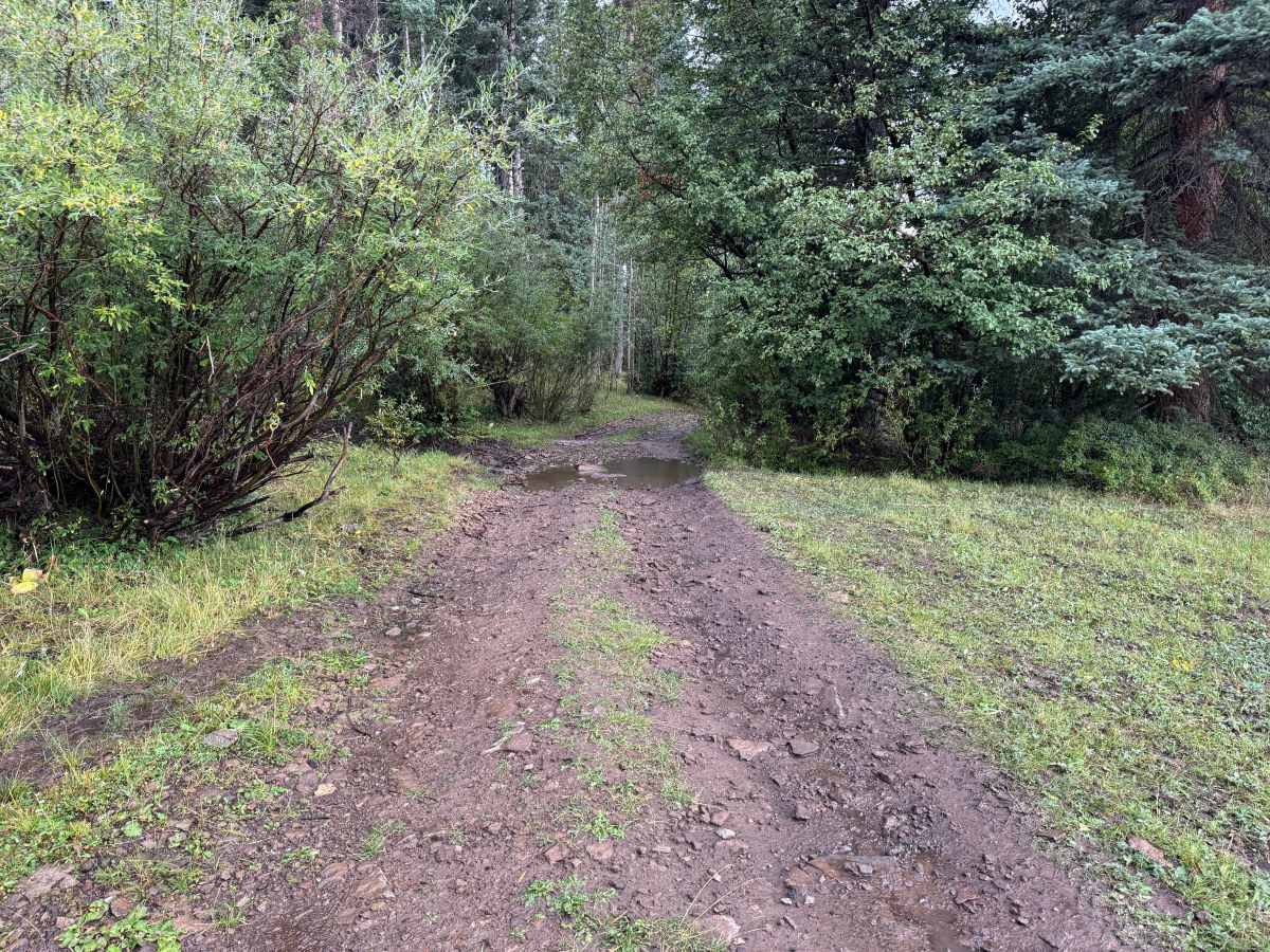 Clampett Mill Road photo 3