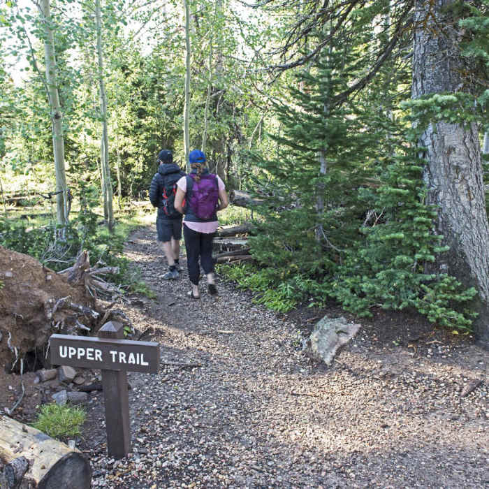Near Alpine Pond Loop