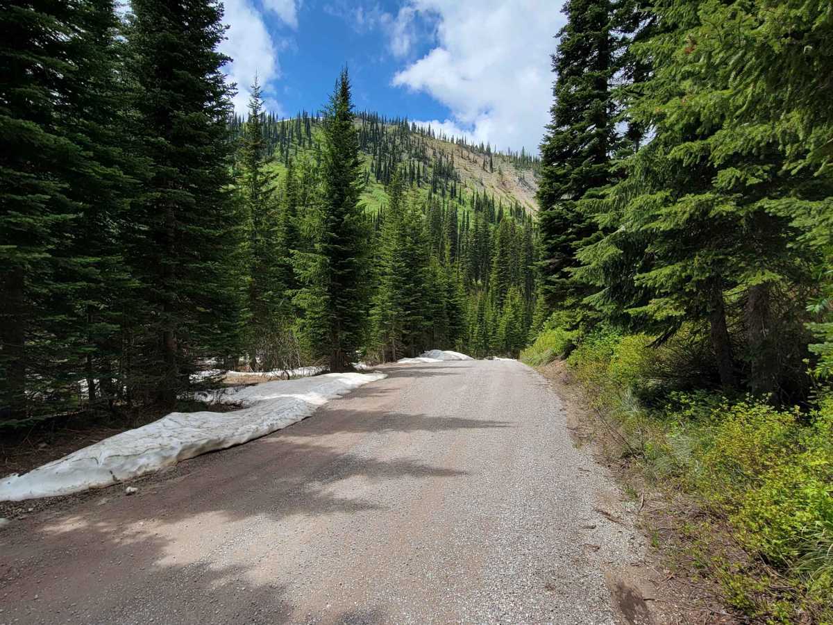 Jewel Basin Road photo 3