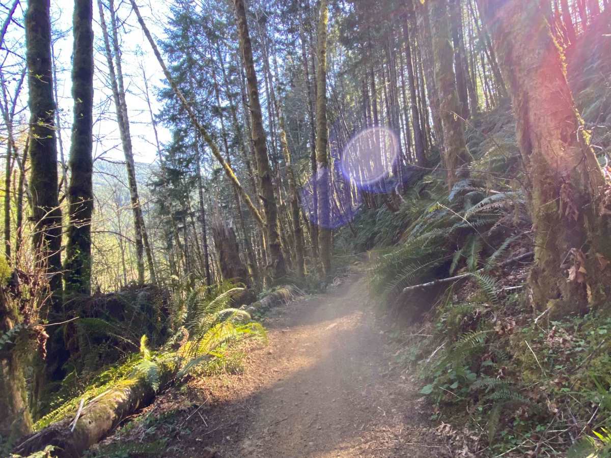 #58 Stage RD photo 3