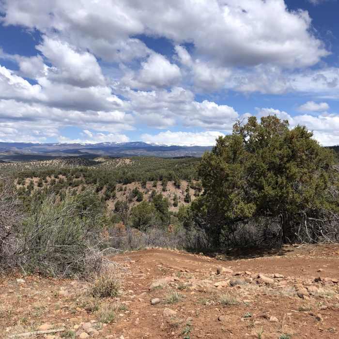 Near Green Canyon Trail #672