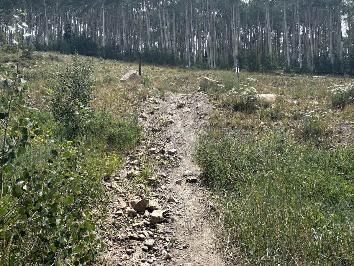 Powerline Trail photo 5